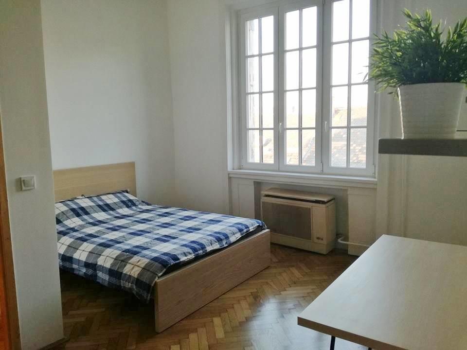 Budapest Central Apartment المظهر الخارجي الصورة